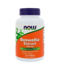 Now Foods – Extrait de Boswellia 500 mg, 90 Gélules