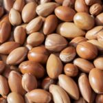 LE PETIT OLIVIER - Crème Mains Nourrissante Huile d'Argan - 75ml – Image 8