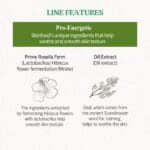 SKINFOOD - Pear Mint Food Mask - 120g – Image 7