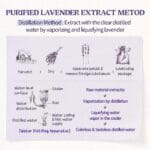 SKINFOOD - Lavender Food Mask - 120g – Image 11