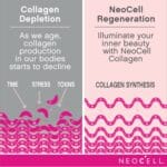 Neocell - Super Collagen + vitamine C, 180 comprimés – Image 6