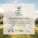 LE PETIT OLIVIER - Lait de Corps Réparateur Beurre de Karité - 250ml – Image 9