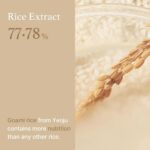 I'm from - Rice Toner Tonique - 150ml – Image 8