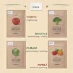 SKINFOOD - Sous Vide Mask Sheet - réf Eggplant – Image 12