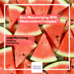 HOLIKA HOLIKA - Watermelon 96% Soothing Gel - 390ml – Image 4