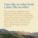 Manuka Health Miel MGO 573+, 500 g – Image 2
